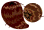satoimo3.gif